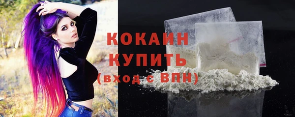 тгк Медногорск